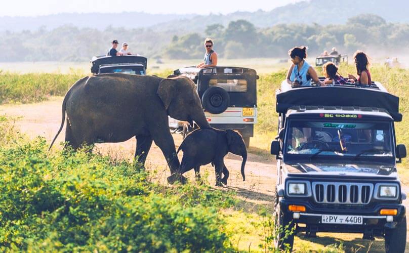 Adventure Tour